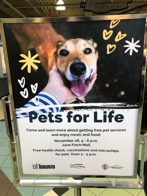 Humane Society International/Canada, Toronto Animal Services debut ...