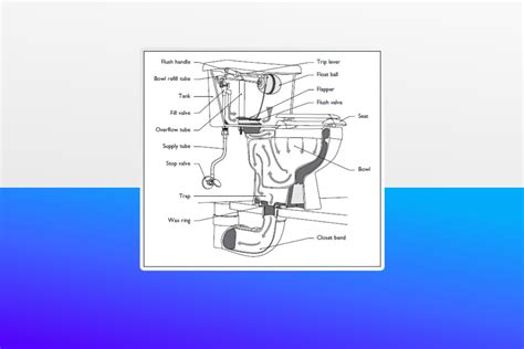 Guide to Parts of a Toilet With Diagrams