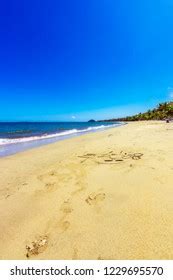 Beaches Suva Fiji Pacific Ocean Stock Photo 1229695570 | Shutterstock