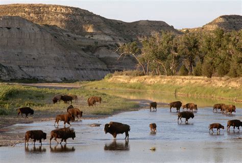 Find Farms & Wildlife Near You in North Dakota | OnlyinYourState.com