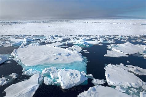 Arctic sea ice winter peak in 2022 is 10th lowest on record - Carbon Brief