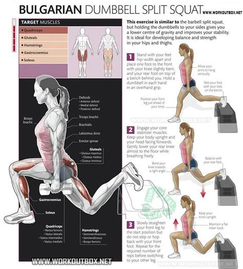 barbell bulgarian split squat benefits - Google Search | Fitness ...