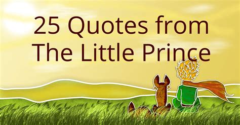 25 Quotes from The Little Prince – Book Cave