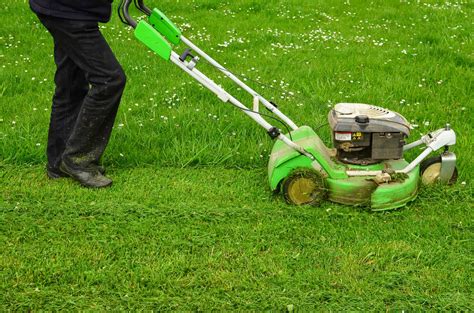 Tips for mowing a wet lawn - Snappy's Outdoor Equipment