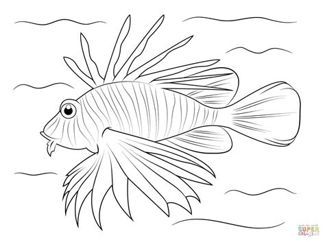 Lionfish Coloring Page | Lion fish, Fish drawings, Fish coloring page