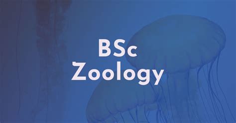 BSC ZOOLOGY Course | DashScholar