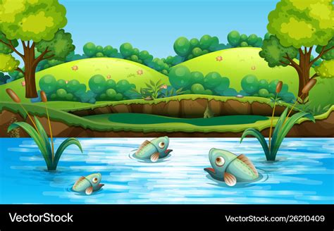 Fish in pond Royalty Free Vector Image - VectorStock