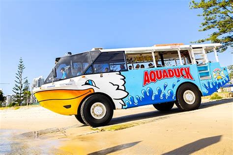 About Aquaduck Sunshine Coast - 1hr Mooloolaba Tour & Cruise