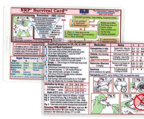 The Ultimate NRP Flow Diagram for 2020: Your Essential Guide