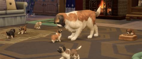 30+ Pet Mods: Revamp The Lives of Your Furry Friends In TS4!