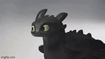 https://imgflip.com/gif-maker/435844546/Confused-Toothless - Imgflip