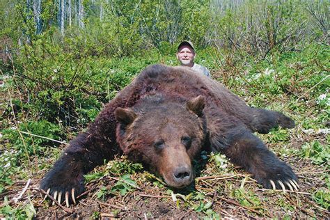 Grizzly Bear Hunting | Hunting in BC Canada with McGregor River Outfitters