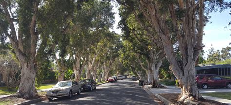 The ultimate neighborhood guide to Mar Vista Los Angeles