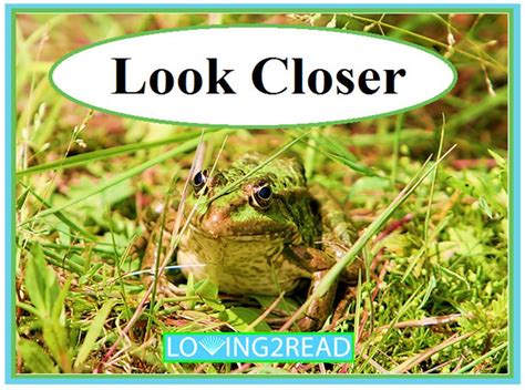 Look Closer - Loving2Read