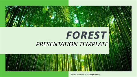 Presentation Templates · Google Slides