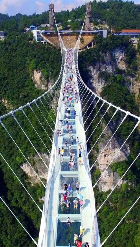 Zhangjiajie Grand Canyon Glass Bridge a 430-metre-long glass bridge has ...