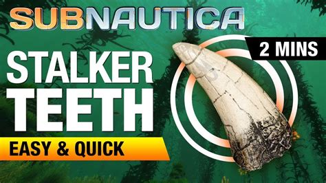 How to get Stalker Teeth | SUBNAUTICA - YouTube