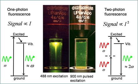 Jim's CLEO Blog: Expo, Idea Generation, and Multiphoton Microscopy