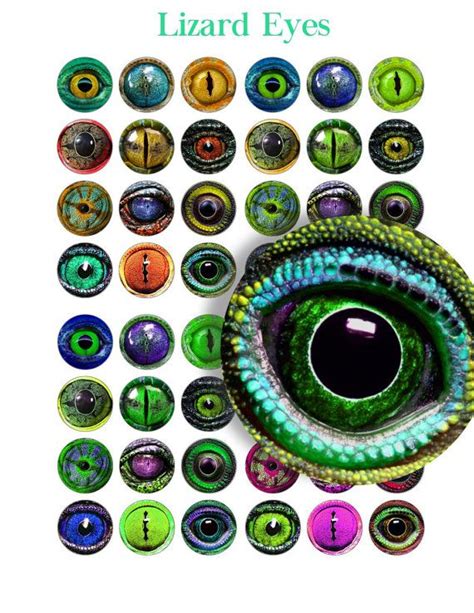 LIZARD EYES Printable Craft Circles Amphibian, Animal Eye Images ...