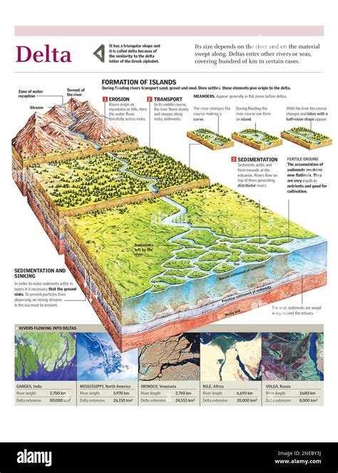 Infographics of the river delta formation process. [Adobe Illustrator ...