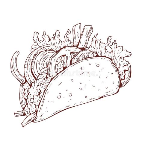 Pita Sandwich, Sketch Drawn Vector. Contour Illustration of Delicious ...