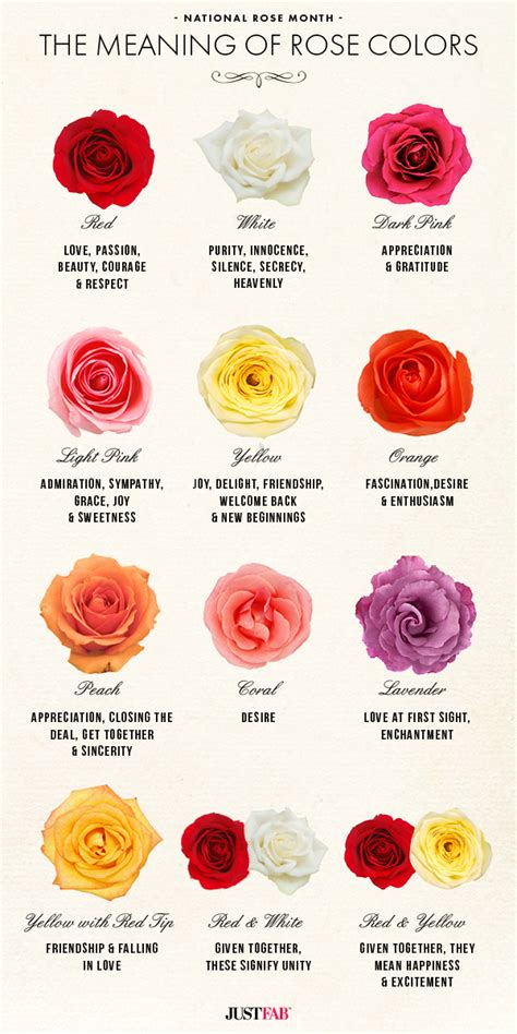 National Rose Month: The Meaning of Rose Colors