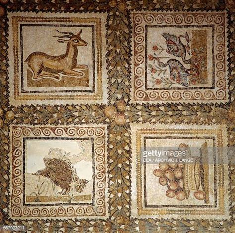 El Djem Archaeological Museum Photos and Premium High Res Pictures ...