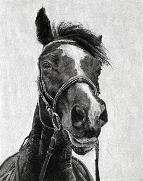 How To Draw A Horse Step By Step Realistic