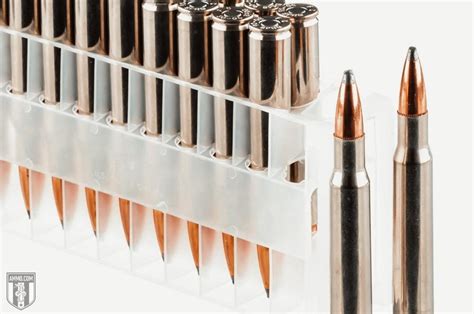 30-06 vs 7mm Rem Mag: Rifle Caliber Comparison by Ammo.com