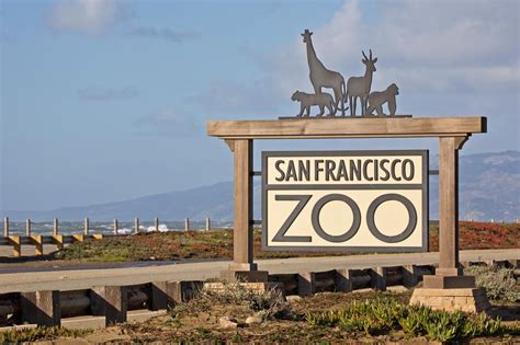 San Francisco Zoo - The Herbst Foundation