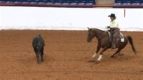 Fort Worth Stock Show and Rodeo Opens Friday – NBC 5 Dallas-Fort Worth