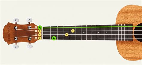 Tuning a ukulele properly? Learn how quickly • UkuTabs