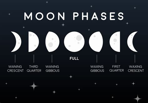 Vector Flat Moon Phases Icons - Download Free Vector Art, Stock ...