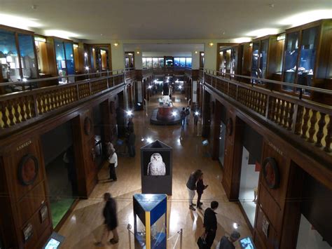 Muséum d'histoire naturelle de Grenoble