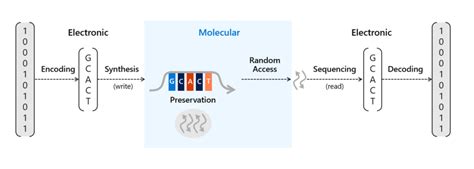 Toward nanoscale DNA writers: Unlocking scalable DNA data writing ...