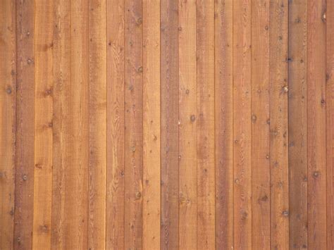 Free photo: Wooden wall texture - Paint, Rough, Surface - Free Download ...