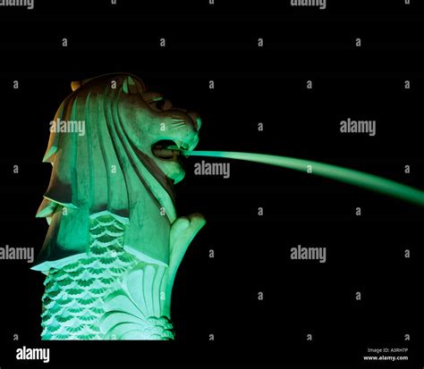 The Merlion statue, symbol of Singapore at night with a black backdrop ...