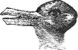 BRAIN LESSONS - DO YOU SEE THE DUCK? - Advocacy and Evidence Resources