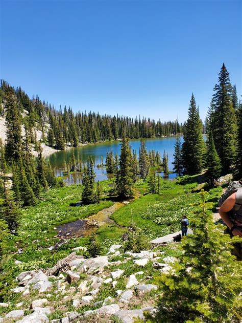 7 Top Campgrounds Near Twin Falls, Idaho and The Snake River