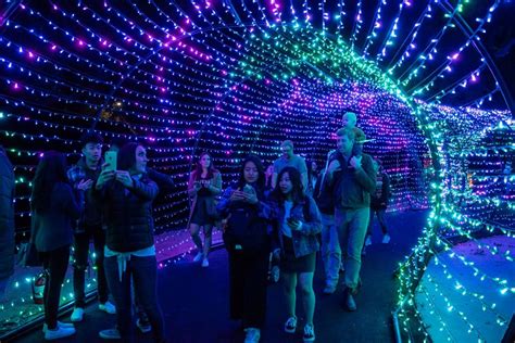 Explore A Wild Wonderland Of Lights At The L.A. Zoo!