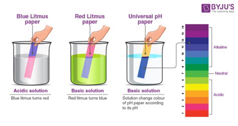 Yellow Litmus Paper Color Chart