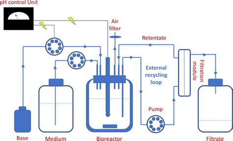 Bioreactor design for continuous propionic acid production with cell ...