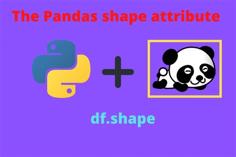 The Pandas Shape Attribute - A Complete Guide - AskPython