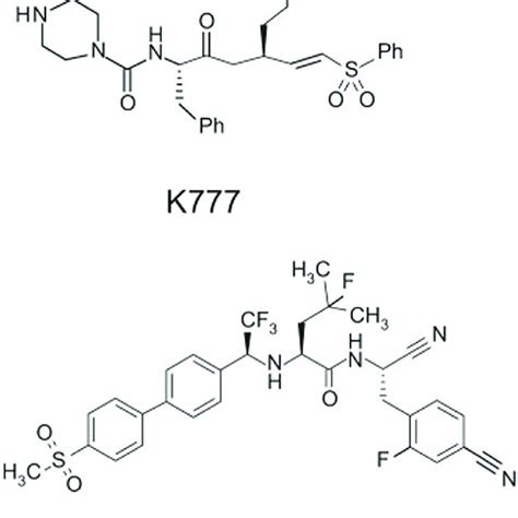 Structure of vinyl sulfone K777 and nitrile Cz007 [2]. | Download High ...