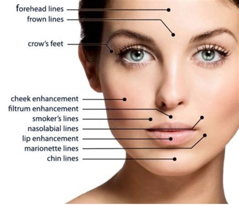 What Are The Types Of Cosmetic Surgery Procedures? | 99 Health Ideas