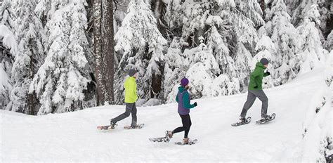 Snowshoeing | Grouse Mountain - The Peak of Vancouver