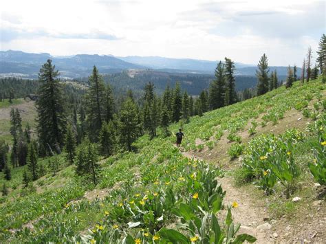 Do This! Discover Calaveras' Hiking and Paddling Sweet Spots ...