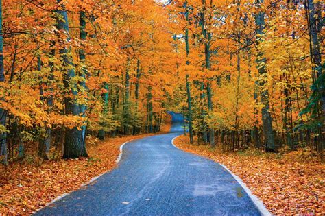 12 of Michigan’s most dazzling fall color drives - mlive.com