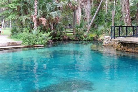 Alexander Springs, Florida | Florida springs, Ocala national forest ...