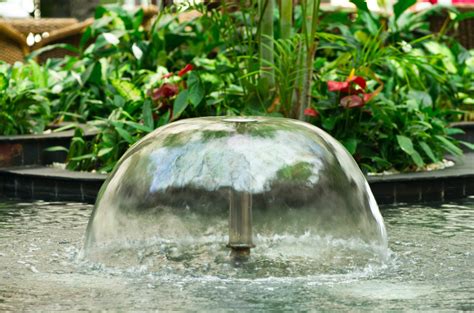 6 Types of Water Features That Are Perfect for Any Garden - iStoryTime